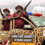 Yoruba Congress opposes moves to put Amotekun under police control
