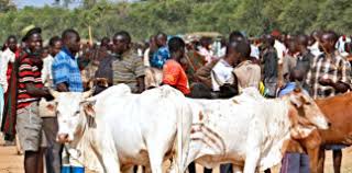 Ukwa people protest relocation of Cattle Market to Obehie
