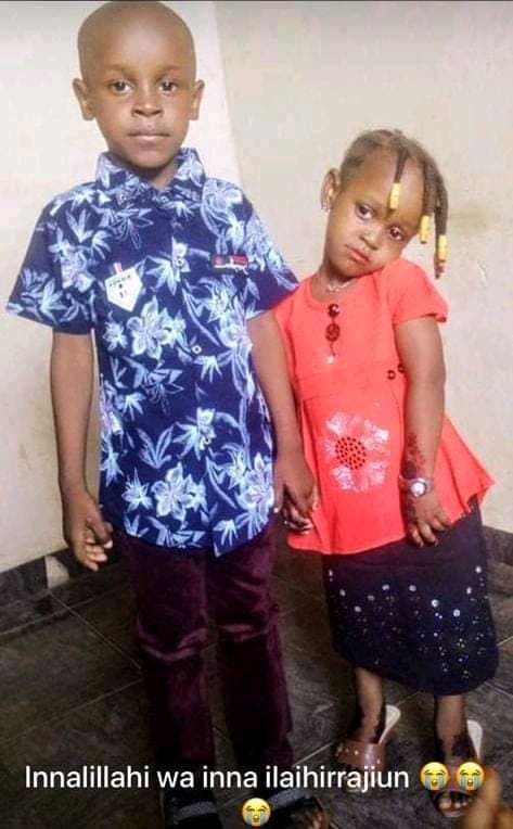 Housewife murders two of her children in Kano