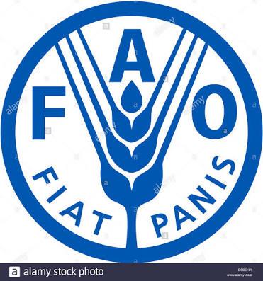 FAO calls on private sector to get more involved in agriculture