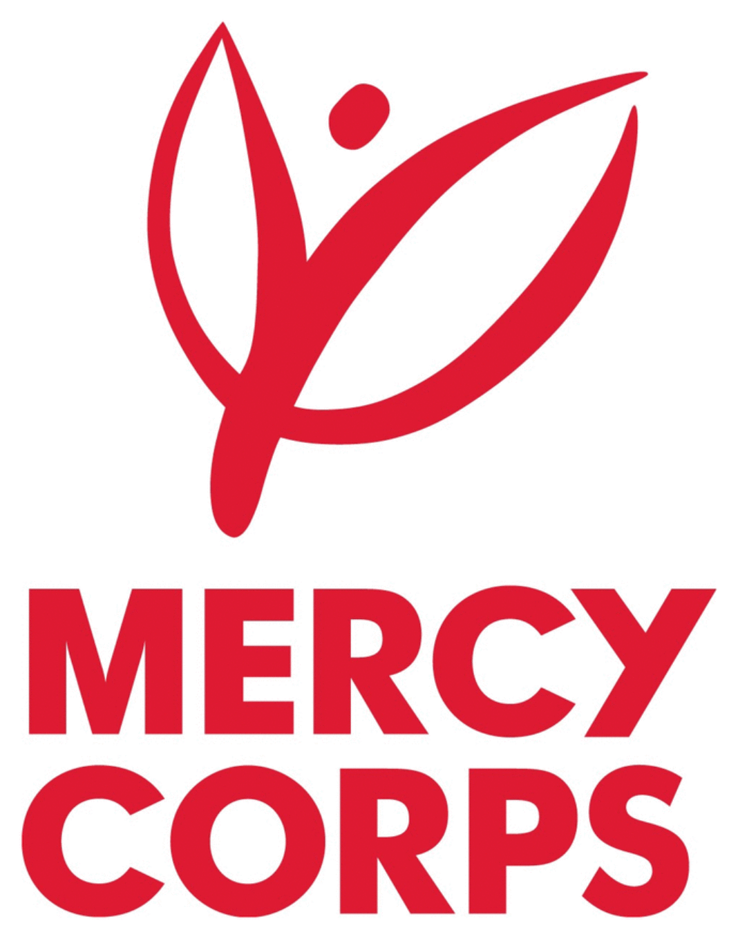 Mercy Corps, EU hand over 325 shelters to returnee families in Borno