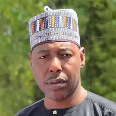 Zulum orders employment of 40 additional medical doctors