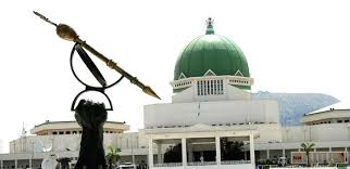 Reps reject bill seeking to set 70-year-old age limit for Presidential Candidates