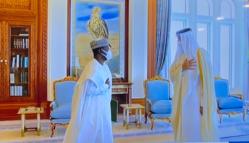 Abdullahi-Ahmed Presents Letters of Credence to Emir of Qatar