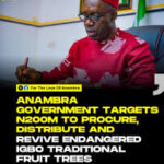 The "Green Gold" Return: Anambra’s N200 Million Bet on Ukwa and Udala download (6)